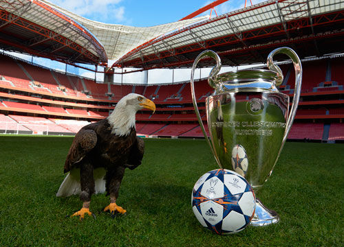 的流程执行 的流程执行